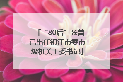 “80后”张蕾已出任镇江市委市级机关工委书记
